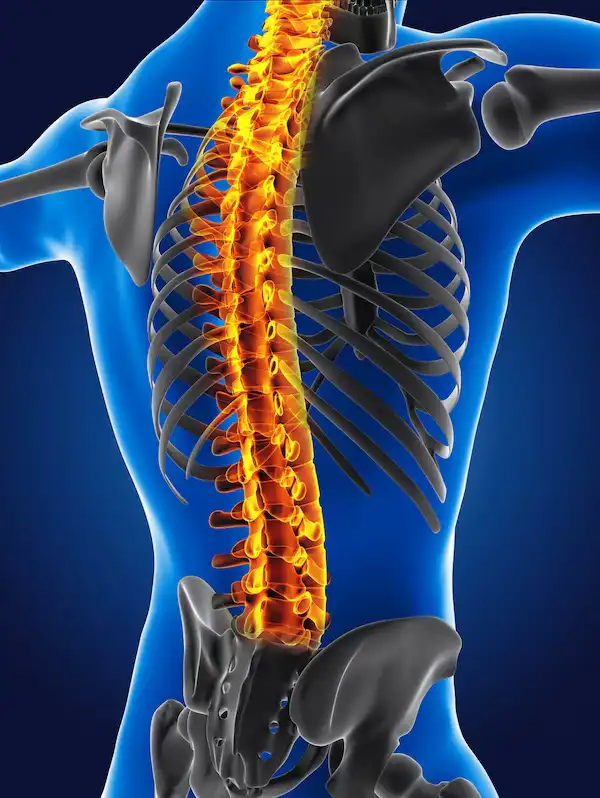 Advanced Scoliosis Treatment Insights in Downtown Ottawa